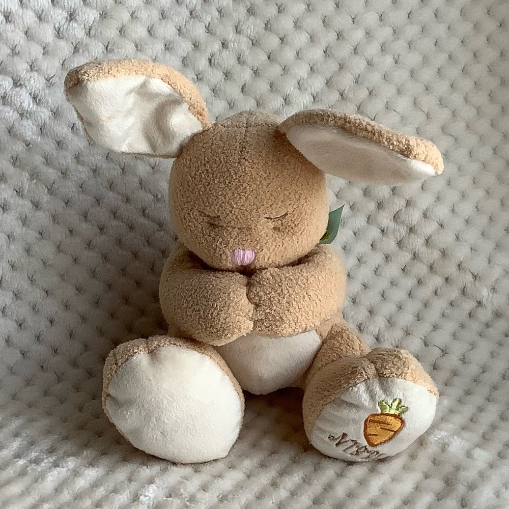 Bright Inspirations Nibbles Talking Bilingual Bunny Rabbit Plush Stuffed Animal